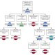 Answering the 5 W’s of Fault Tree Analysis